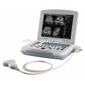 veterinary ultrasound camel pregnancy test